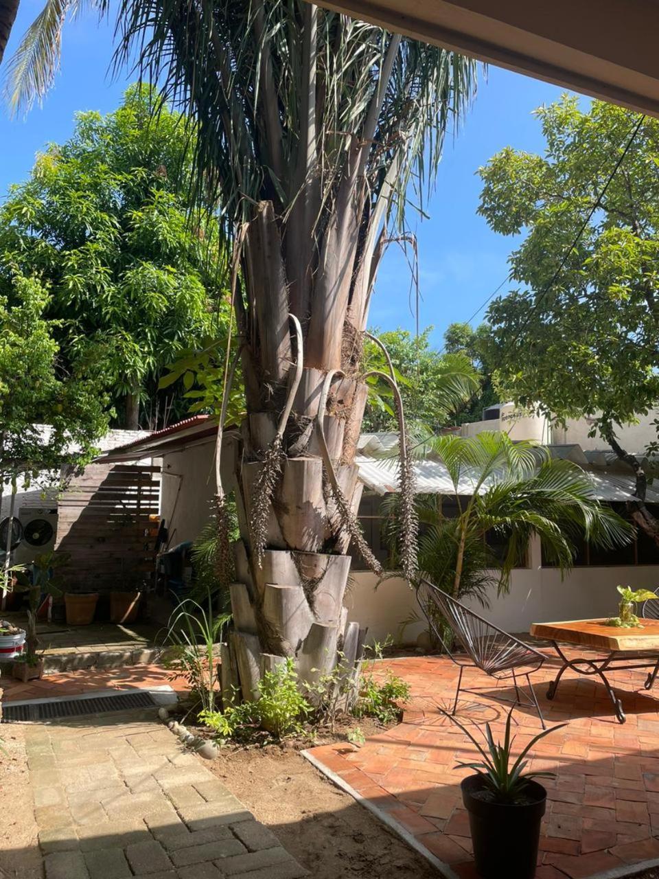Casa Sixta A 7Min Del Aeropuerto Internacional Pmx Y 2 Cuadras Terminal Autob Ado Otel Puerto Escondido  Dış mekan fotoğraf